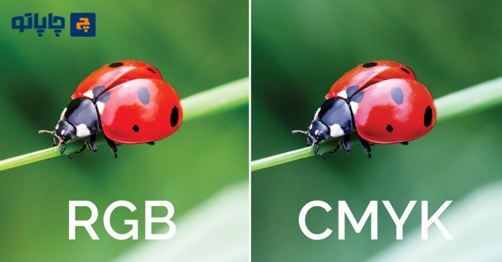 تفاوت رنگ در مانیتور و چاپ در یک تصویر کفشدوزک با 2 مد رنگی RGB و CMYK